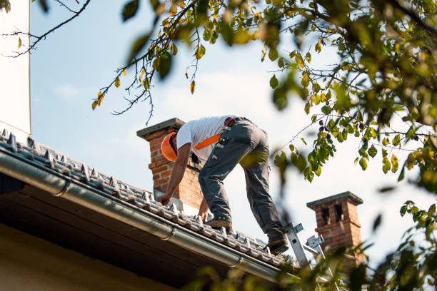 Best Local Roofing Companies  in Worthington, MN