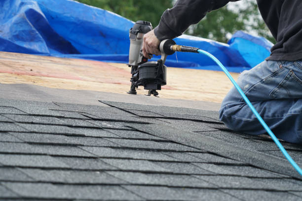 Best Flat Roof Repair Services  in Worthington, MN